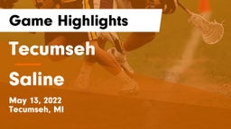 Tecumseh  vs Saline  Game Highlights - May 13, 2022