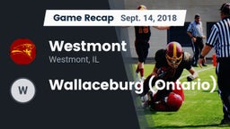 Recap: Westmont  vs. Wallaceburg (Ontario) 2018