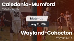 Matchup: Caledonia-Mumford vs. Wayland-Cohocton  2018
