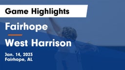 Fairhope  vs West Harrison  Game Highlights - Jan. 14, 2023