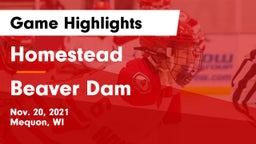 Homestead  vs Beaver Dam  Game Highlights - Nov. 20, 2021