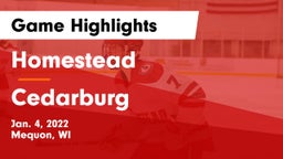 Homestead  vs Cedarburg  Game Highlights - Jan. 4, 2022