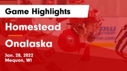 Homestead  vs Onalaska  Game Highlights - Jan. 28, 2022