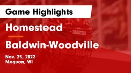 Homestead  vs Baldwin-Woodville  Game Highlights - Nov. 25, 2022