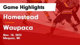 Homestead  vs Waupaca  Game Highlights - Nov. 18, 2023
