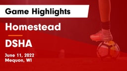 Homestead  vs DSHA Game Highlights - June 11, 2022