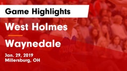 West Holmes  vs Waynedale  Game Highlights - Jan. 29, 2019