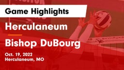 Herculaneum  vs Bishop DuBourg  Game Highlights - Oct. 19, 2022