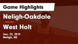 Neligh-Oakdale  vs West Holt  Game Highlights - Jan. 22, 2019
