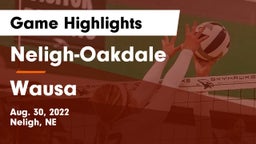 Neligh-Oakdale  vs Wausa  Game Highlights - Aug. 30, 2022