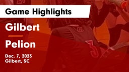 Gilbert  vs Pelion  Game Highlights - Dec. 7, 2023
