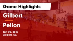 Gilbert  vs Pelion  Game Highlights - Jan 20, 2017