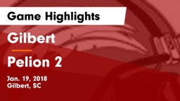 Gilbert  vs Pelion 2 Game Highlights - Jan. 19, 2018