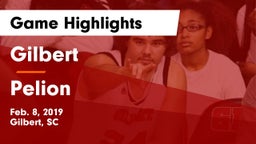 Gilbert  vs Pelion  Game Highlights - Feb. 8, 2019