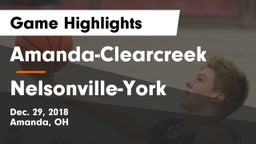 Amanda-Clearcreek  vs Nelsonville-York  Game Highlights - Dec. 29, 2018