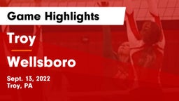 Troy  vs Wellsboro Game Highlights - Sept. 13, 2022
