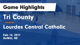 Tri County  vs Lourdes Central Catholic  Game Highlights - Feb 14, 2017