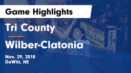 Tri County  vs Wilber-Clatonia  Game Highlights - Nov. 29, 2018