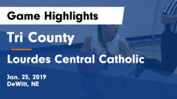 Tri County  vs Lourdes Central Catholic  Game Highlights - Jan. 25, 2019