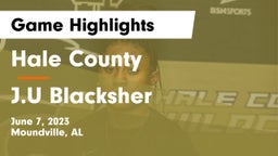 Hale County  vs J.U Blacksher Game Highlights - June 7, 2023