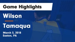 Wilson  vs Tamaqua  Game Highlights - March 3, 2018
