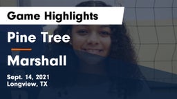 Pine Tree  vs Marshall  Game Highlights - Sept. 14, 2021