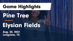 Pine Tree  vs Elysian Fields Game Highlights - Aug. 30, 2022