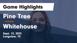 Pine Tree  vs Whitehouse Game Highlights - Sept. 12, 2023