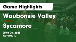 Waubonsie Valley  vs Sycamore  Game Highlights - June 20, 2023