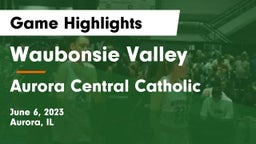 Waubonsie Valley  vs Aurora Central Catholic Game Highlights - June 6, 2023