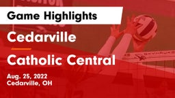 Cedarville  vs Catholic Central  Game Highlights - Aug. 25, 2022