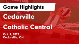 Cedarville  vs Catholic Central  Game Highlights - Oct. 4, 2022