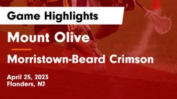Mount Olive  vs Morristown-Beard Crimson Game Highlights - April 25, 2023