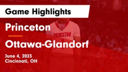 Princeton  vs Ottawa-Glandorf  Game Highlights - June 4, 2023