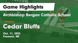 Archbishop Bergan Catholic School vs Cedar Bluffs  Game Highlights - Oct. 11, 2022