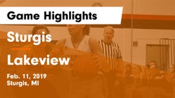 Sturgis  vs Lakeview  Game Highlights - Feb. 11, 2019