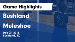 Bushland  vs Muleshoe  Game Highlights - Dec 03, 2016