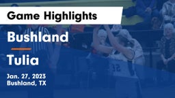 Bushland  vs Tulia  Game Highlights - Jan. 27, 2023