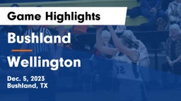 Bushland  vs Wellington  Game Highlights - Dec. 5, 2023