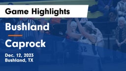 Bushland  vs Caprock  Game Highlights - Dec. 12, 2023