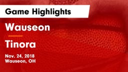Wauseon  vs Tinora  Game Highlights - Nov. 24, 2018