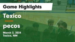 Texico  vs pecos Game Highlights - March 2, 2024