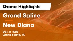 Grand Saline  vs New Diana  Game Highlights - Dec. 2, 2023