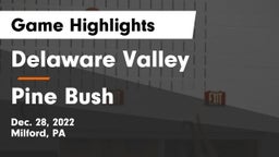 Delaware Valley  vs Pine Bush  Game Highlights - Dec. 28, 2022