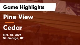 Pine View  vs Cedar  Game Highlights - Oct. 18, 2022