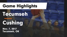 Tecumseh  vs Cushing  Game Highlights - Nov. 7, 2017