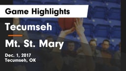 Tecumseh  vs Mt. St. Mary Game Highlights - Dec. 1, 2017