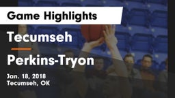 Tecumseh  vs Perkins-Tryon  Game Highlights - Jan. 18, 2018