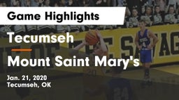 Tecumseh  vs Mount Saint Mary's  Game Highlights - Jan. 21, 2020