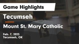 Tecumseh  vs Mount St. Mary Catholic  Game Highlights - Feb. 7, 2023